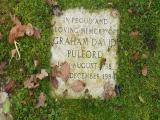 image number Pulford Graham David 407